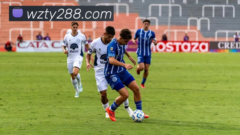 王者体育官网平台生态图