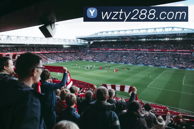 王者体育官网APP 封面图