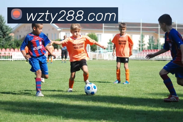 数据防护可视化