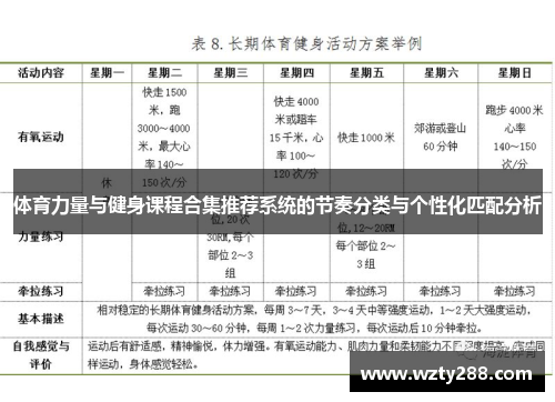 体育力量与健身课程合集推荐系统的节奏分类与个性化匹配分析